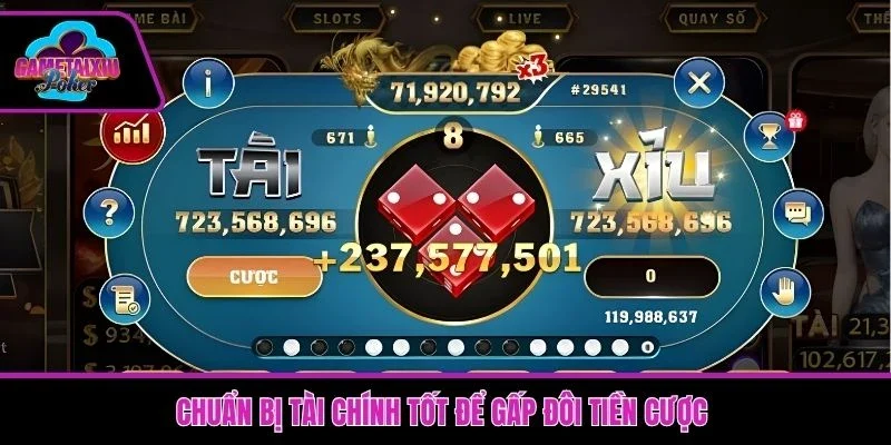 Chuẩn bị tài chính tốt để có thể gấp đôi tiền cược phù hợp