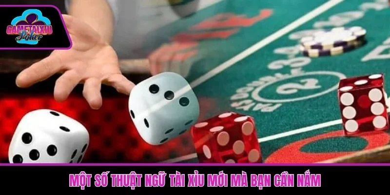 Một số thuật ngữ tài xỉu mới mà bạn cần nắm